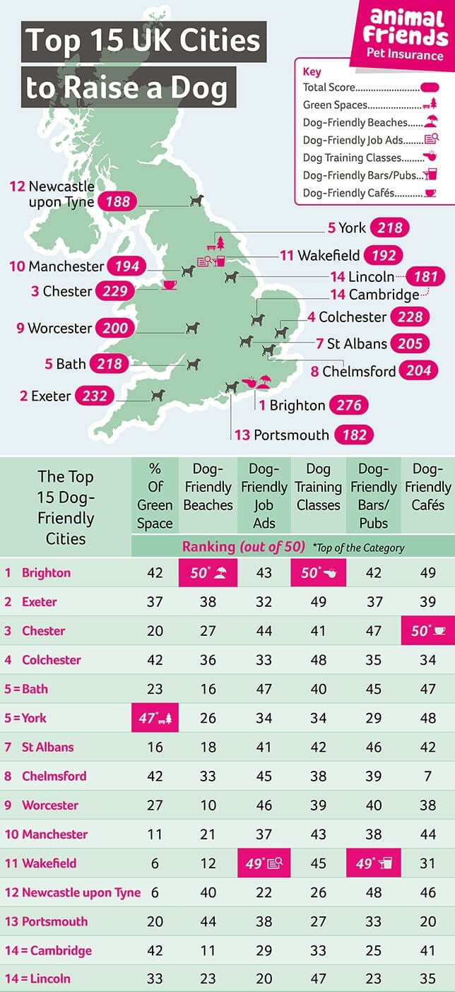 The top 15 most dog-friendly cities in the UK, according to our 2023 research