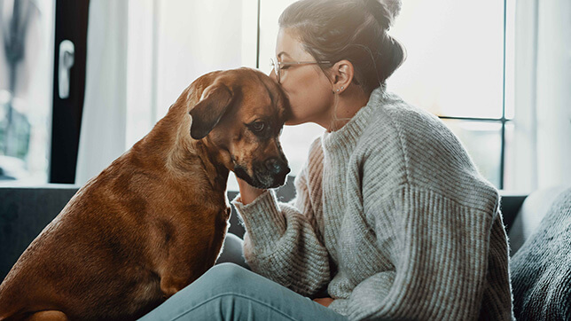 A person petting a dog