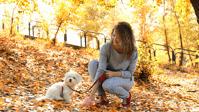 A person picking up dog poo