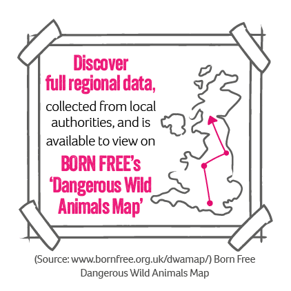 An illustration of a map, which can be accessed by clicking the link to the Born Free website