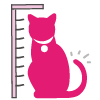 Graphic of a cat being measured 