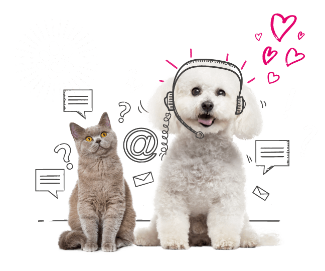 Photo illustration of a cat and a dog