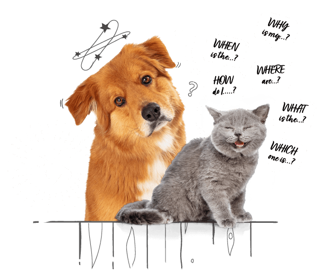 Photo illustration of a dog and a cat