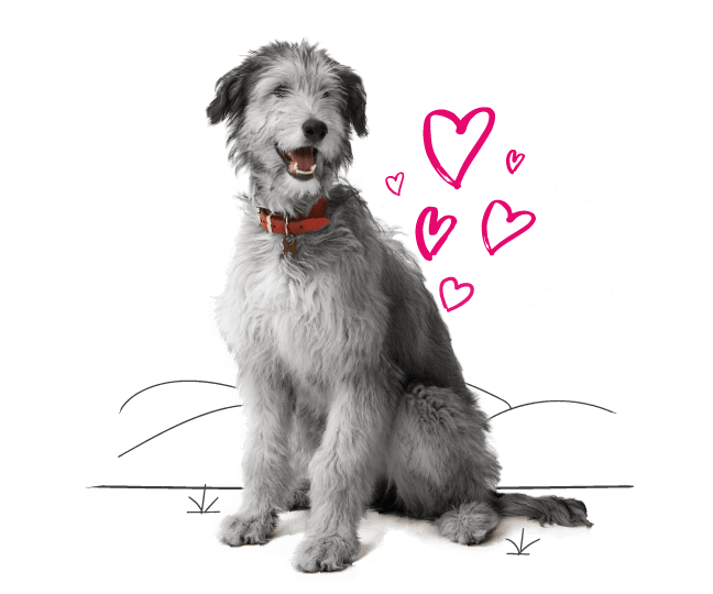 Illustration of a dog and love hearts