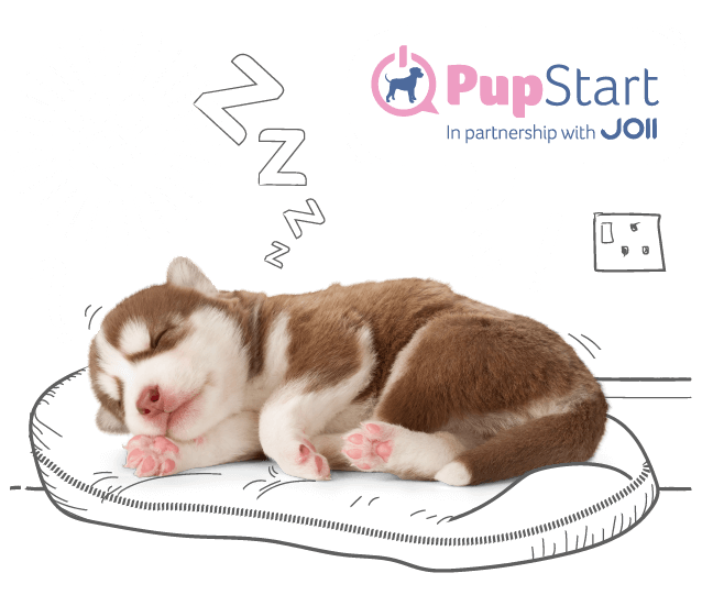 Photo illustration of a sleeping puppy