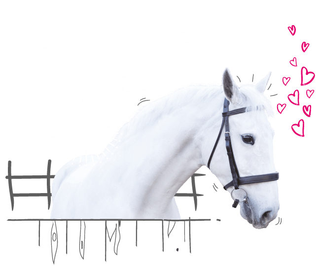 Photo illustration of a horse and love hearts