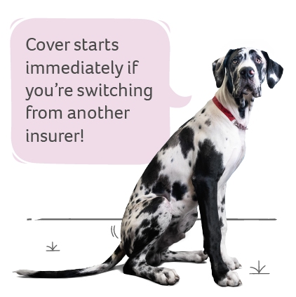 Switch Pet Insurance | Animal Friends