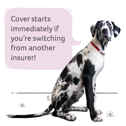 Switch Pet Insurance | Animal Friends Switch Pet Insurance | Animal Friends