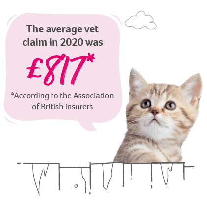 According to the Association of British Insurers the average pet insurance claim in 2020 was £817.