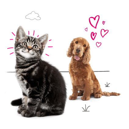 Photo illustration of a cat  and a dog with love hearts