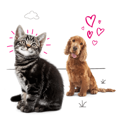 Photo illustration of a cat and a dog with love hearts