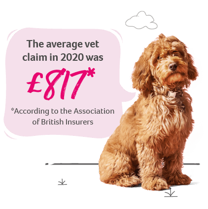 According to the Association of British Insurers the average pet insurance claim in 2020 was £817.
