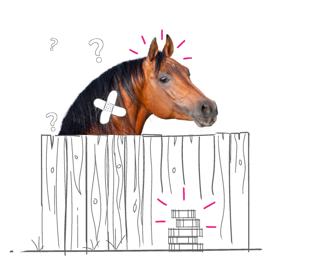 Photo illustration of a horse looking over a fence