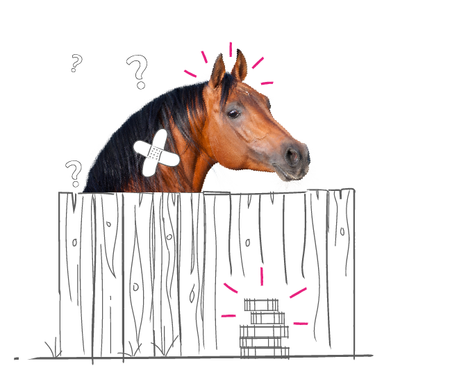 AFI_Banner_image_Horse_Vet_Fees_01.png