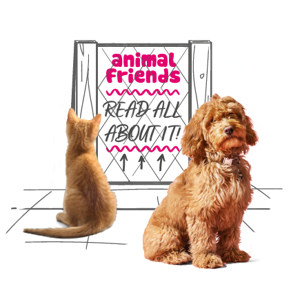 Photo illustration of a cat and a dog