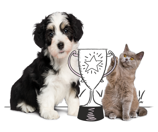 Award winning pet insurance