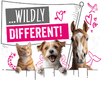 Pet insurance that helps make a difference to the lives of animals everywhere