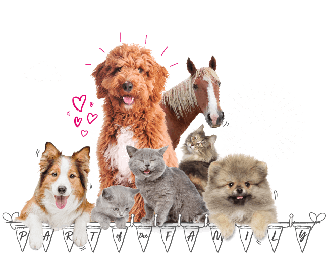 MultiPet Insurance Animal Friends