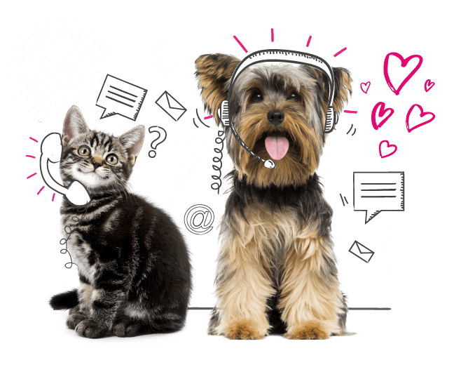Photo illustration of a dog and a cat.