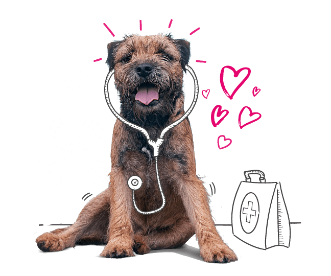 Photo illustration of a dog with love hearts.