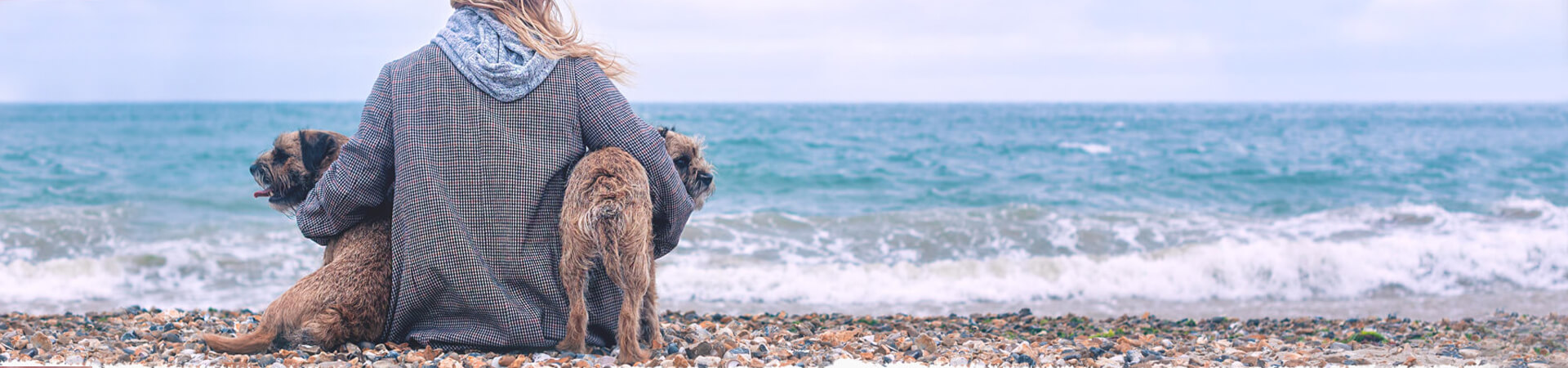 Lady sat by the sea with two dogs