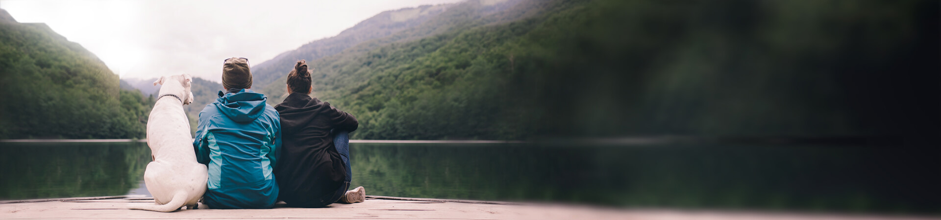 Dog sat by a lake with family