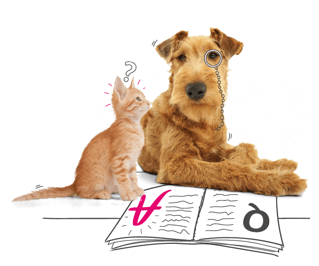 Dog and cat looking at a book.