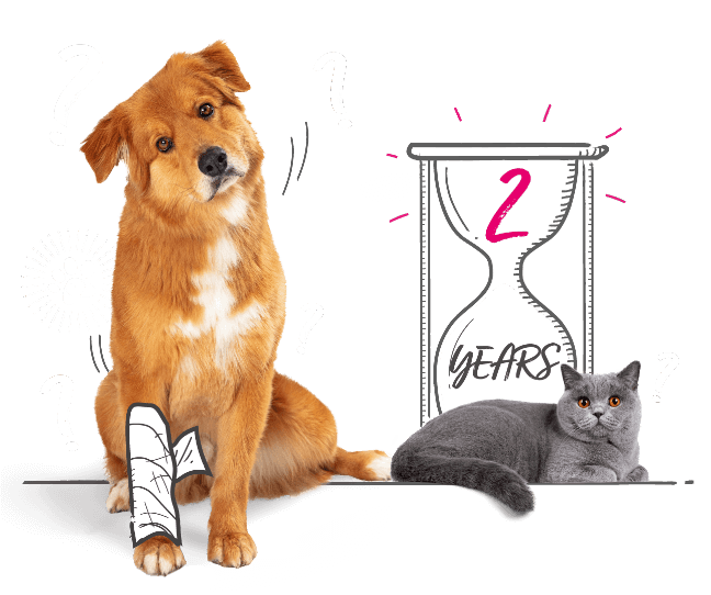 What Is A Pre Existing Condition For Dogs