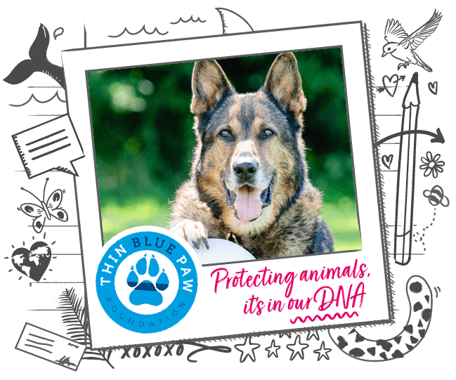 Thin Blue Paw Foundation Animal Friends