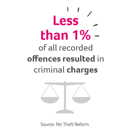 AFI_Pet_Theft_infographic_422x422pix_Pet_Theft_Dog Offence Stat.png