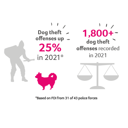 Pet theft infographic