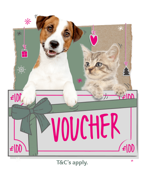 Voucher