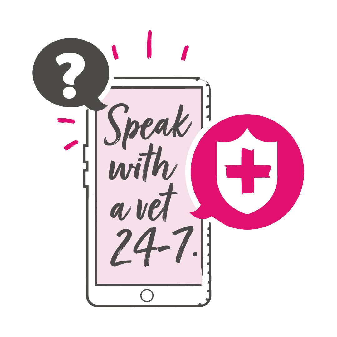 Illustration of a mobile phone with a vet chat icon to represent 24/7 online vet support