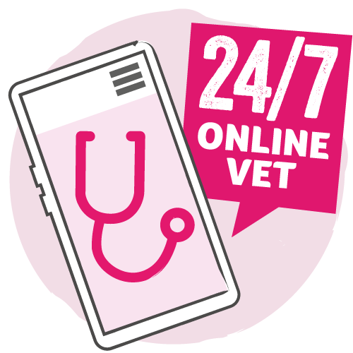24-7 online vet